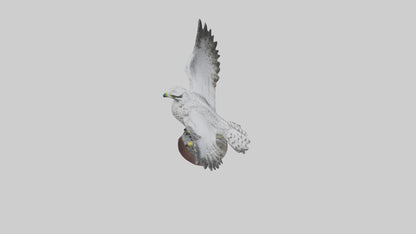 3D model Gyrfalcon statue model VR / AR / low-poly