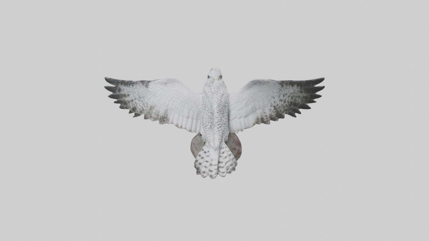 3D model Gyrfalcon statue model VR / AR / low-poly