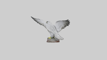 3D model Gyrfalcon statue model VR / AR / low-poly