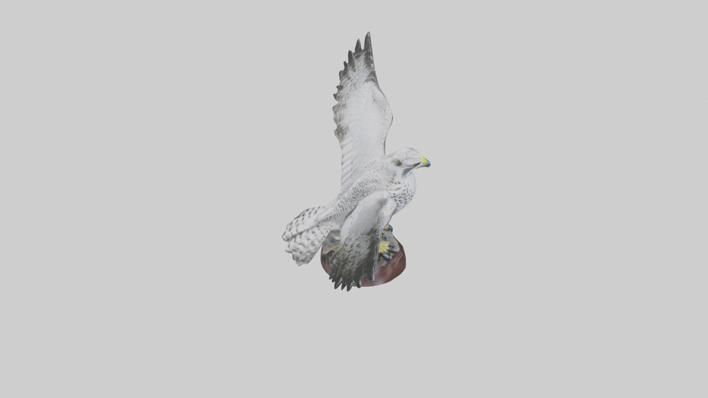 3D model Gyrfalcon statue model VR / AR / low-poly