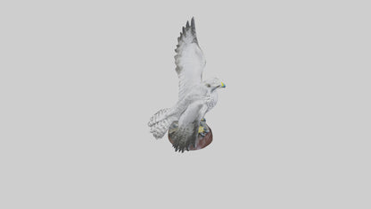 3D model Gyrfalcon statue model VR / AR / low-poly