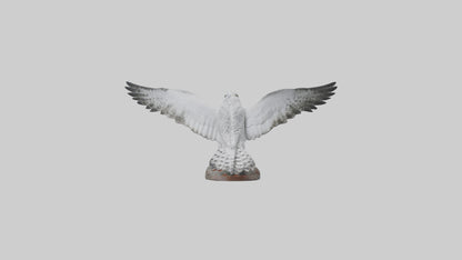 3D model Gyrfalcon statue model VR / AR / low-poly