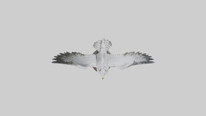 3D model Gyrfalcon statue model VR / AR / low-poly