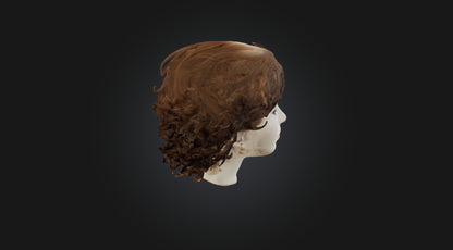 3D model hair wig  VR / AR / low-poly