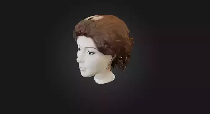 3D model hair wig  VR / AR / low-poly