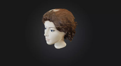 3D model hair wig  VR / AR / low-poly