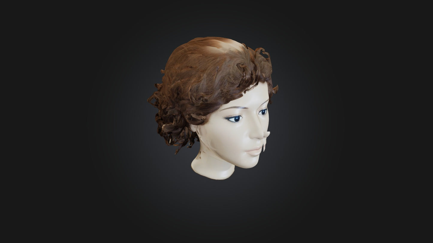 3D model hair wig  VR / AR / low-poly