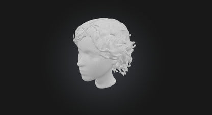 3D model hair wig  VR / AR / low-poly