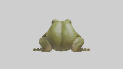 Hairy Frog sitting model VR / AR / low-poly