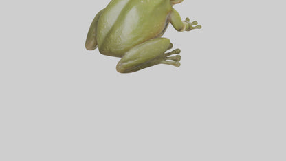 Hairy Frog sitting model VR / AR / low-poly