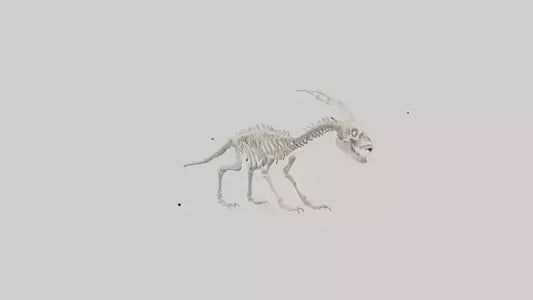 Hallucigenia Skeleton model VR / AR / low-poly