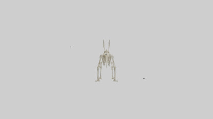 Hallucigenia Skeleton model VR / AR / low-poly