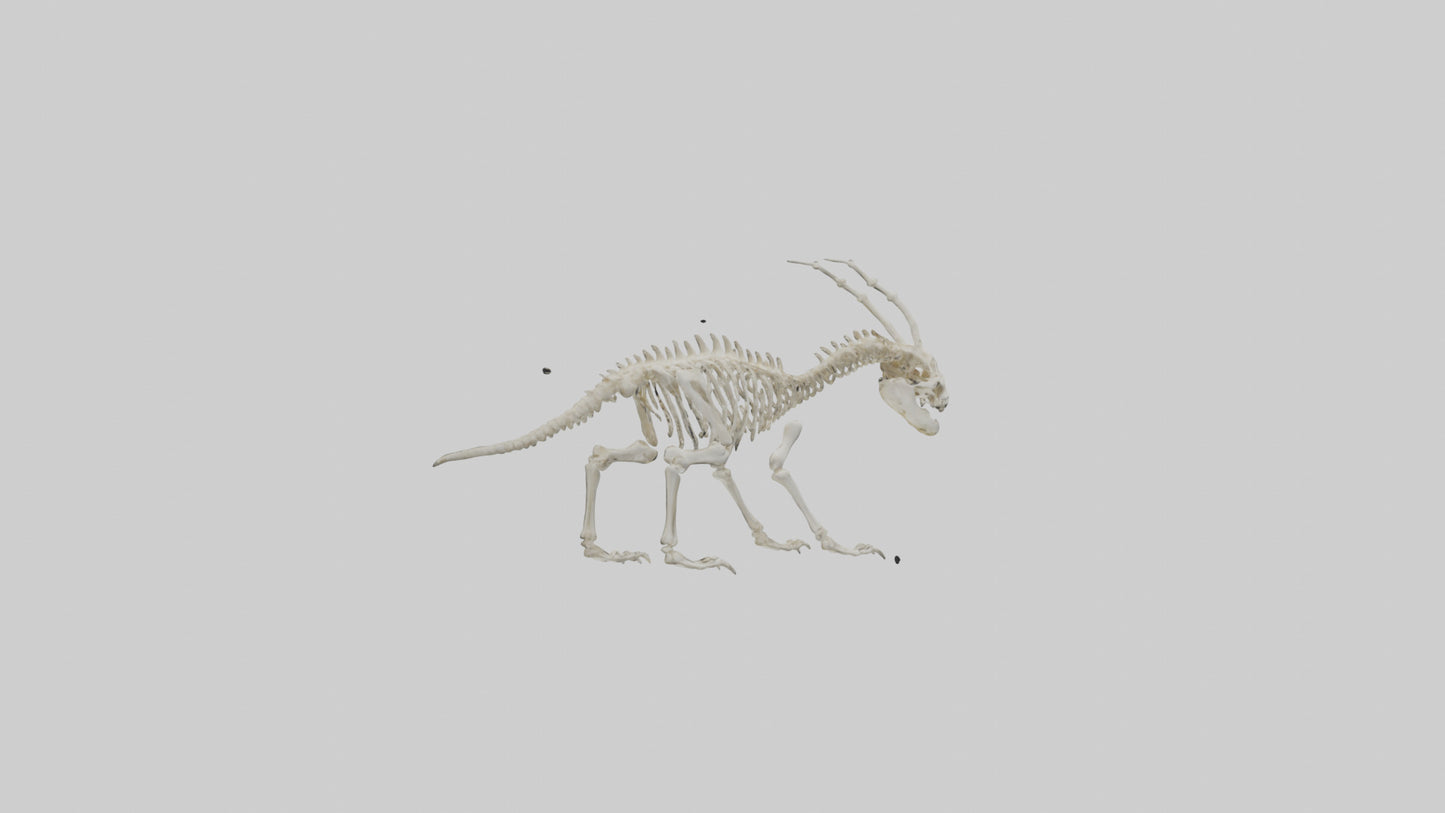 Hallucigenia Skeleton model VR / AR / low-poly