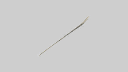 Hammerhead Shark Teeth Model VR / AR / low-poly