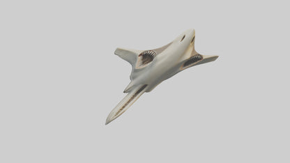 Hammerhead Shark Teeth Model VR / AR / low-poly