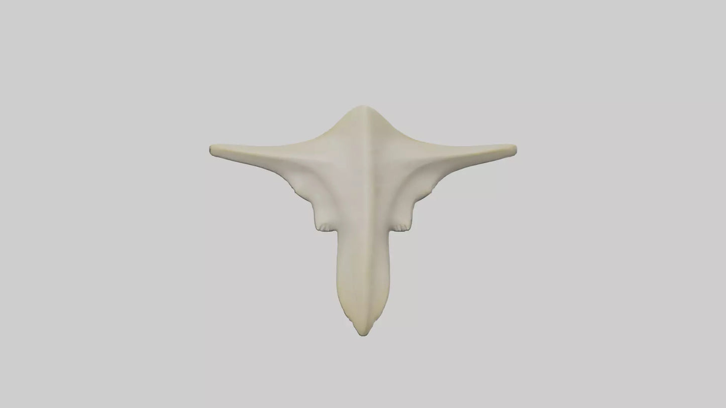 Hammerhead Shark Teeth Model VR / AR / low-poly