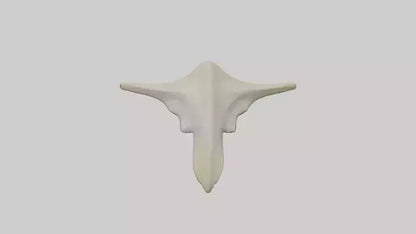 Hammerhead Shark Teeth Model VR / AR / low-poly