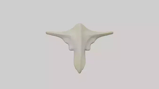 Hammerhead Shark Teeth Model VR / AR / low-poly