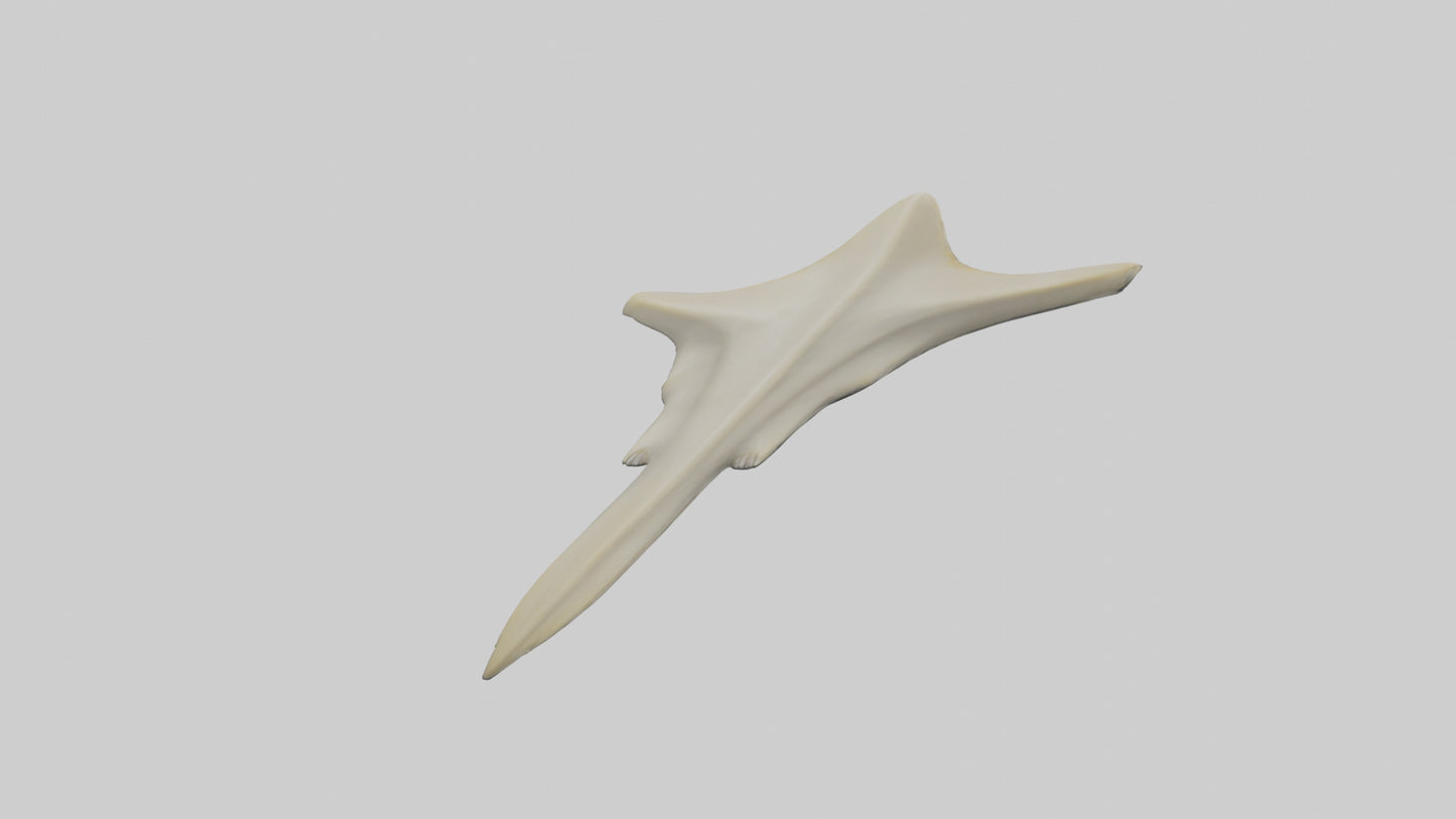 Hammerhead Shark Teeth Model VR / AR / low-poly