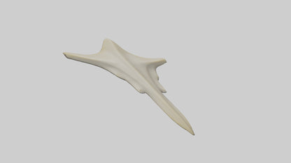 Hammerhead Shark Teeth Model VR / AR / low-poly