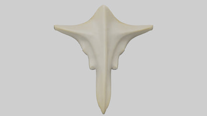 Hammerhead Shark Teeth Model VR / AR / low-poly