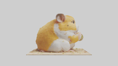 3D model Hamster eating seeds model VR / AR / low-poly