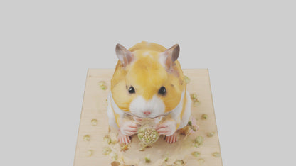 3D model Hamster eating seeds model VR / AR / low-poly