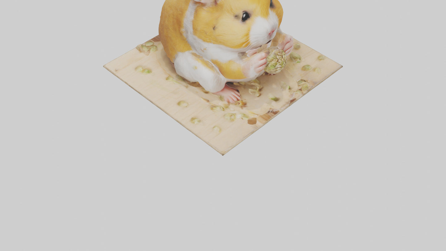 3D model Hamster eating seeds model VR / AR / low-poly