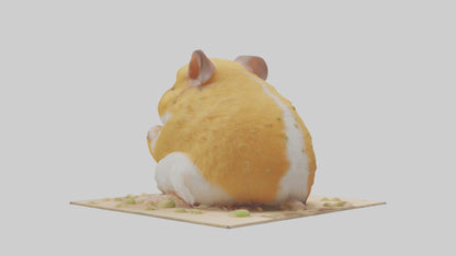 3D model Hamster eating seeds model VR / AR / low-poly