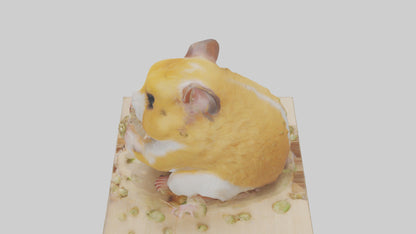 3D model Hamster eating seeds model VR / AR / low-poly