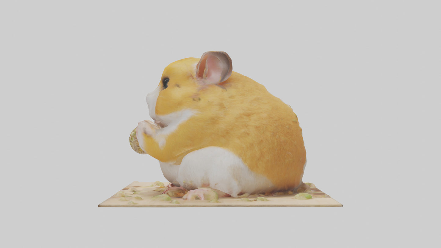 3D model Hamster eating seeds model VR / AR / low-poly