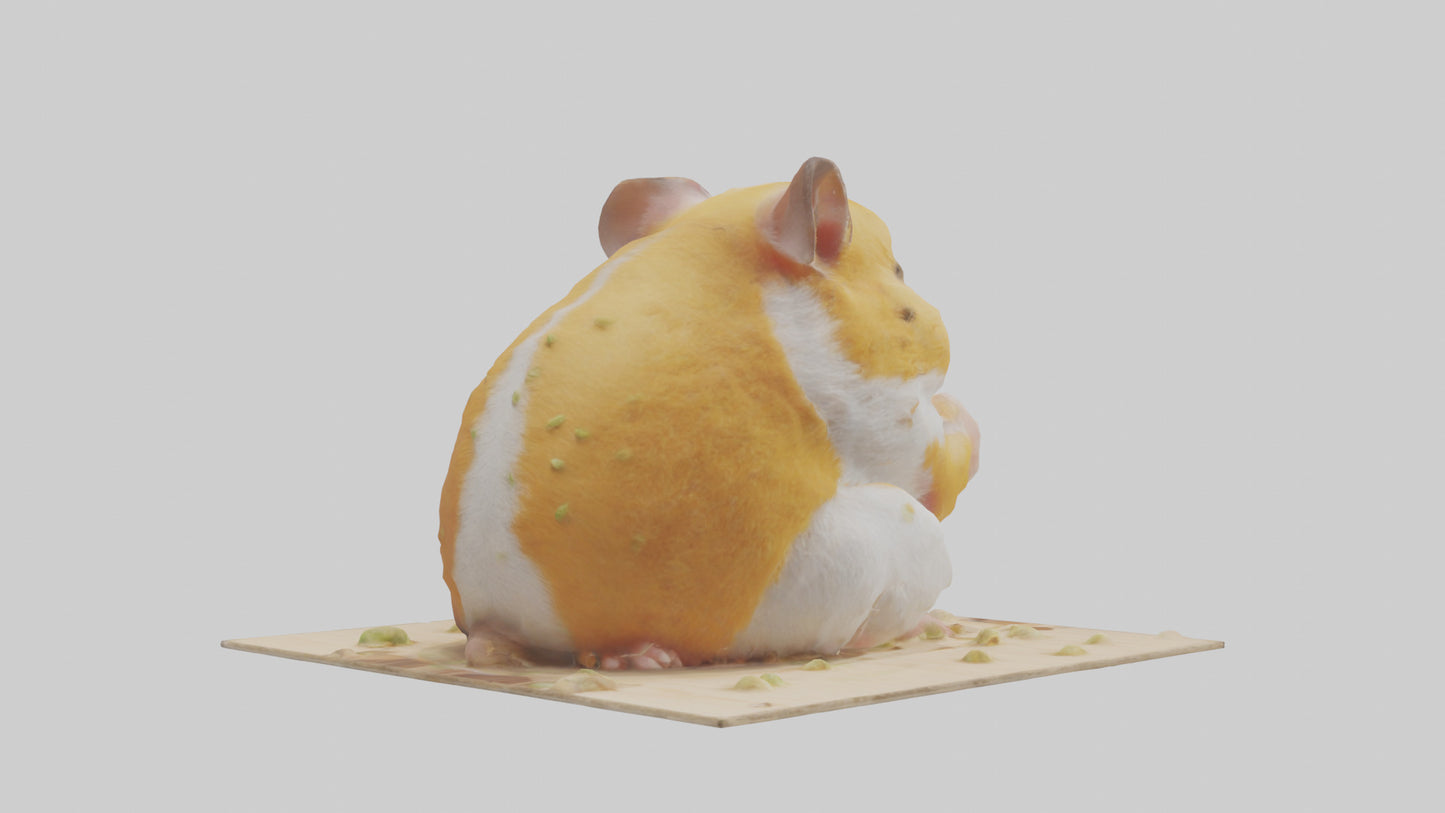 3D model Hamster eating seeds model VR / AR / low-poly