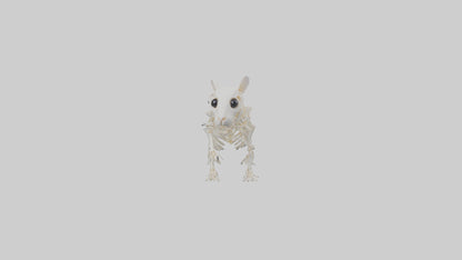 3D model Hamster Skeleton model VR / AR / low-poly