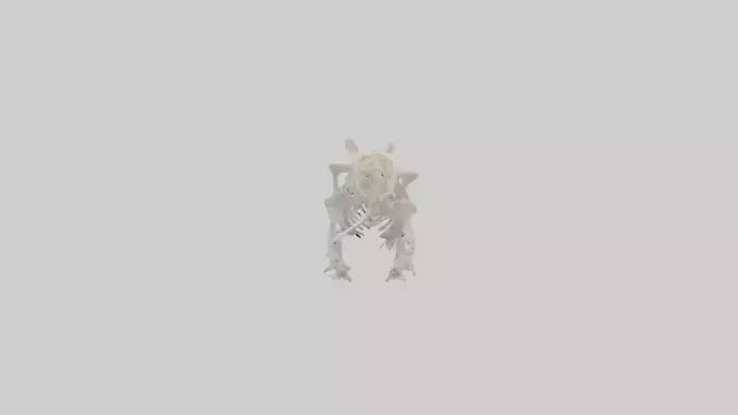 3D model Hamster Skeleton model VR / AR / low-poly