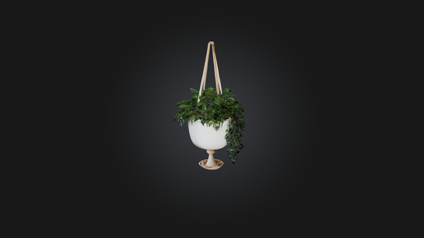 3D model Hanging planter VR / AR / low-poly