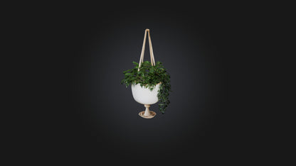 3D model Hanging planter VR / AR / low-poly
