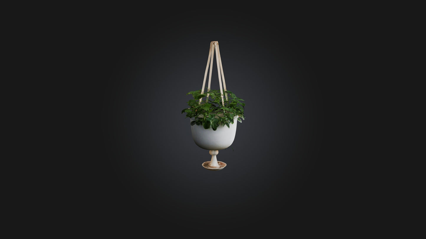 3D model Hanging planter VR / AR / low-poly