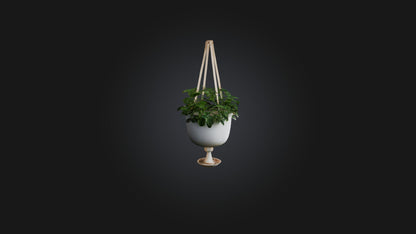 3D model Hanging planter VR / AR / low-poly