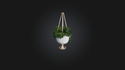 3D model Hanging planter VR / AR / low-poly