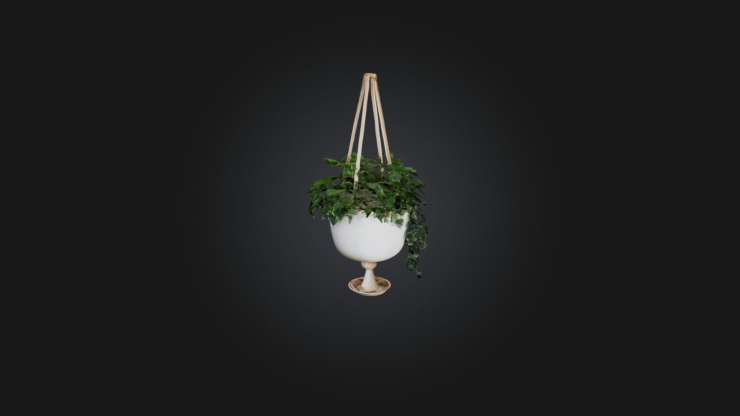 3D model Hanging planter VR / AR / low-poly