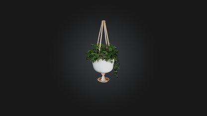 3D model Hanging planter VR / AR / low-poly