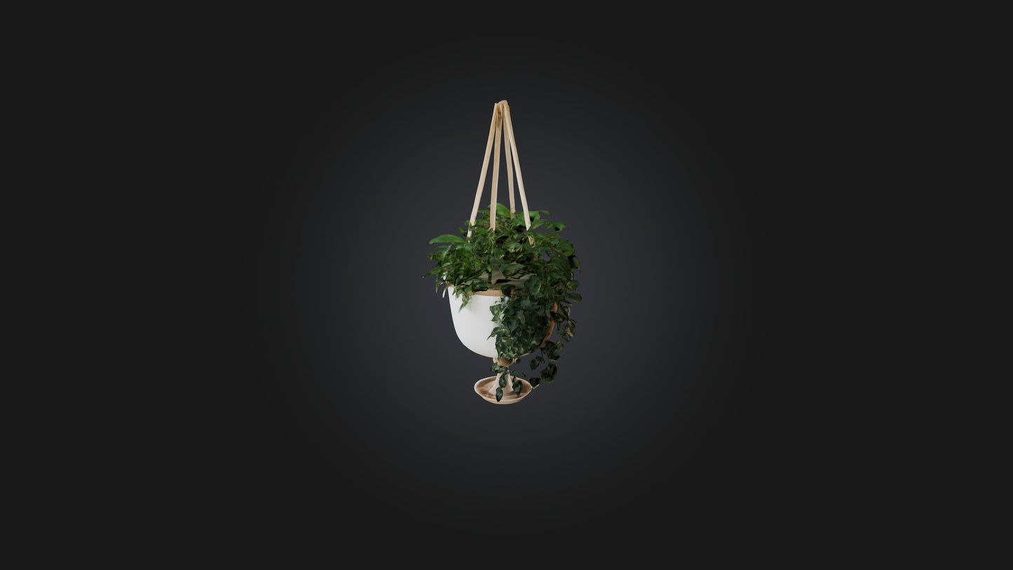 3D model Hanging planter VR / AR / low-poly