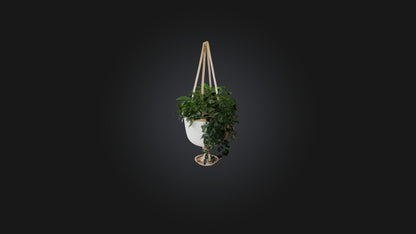 3D model Hanging planter VR / AR / low-poly