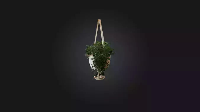 3D model Hanging planter VR / AR / low-poly