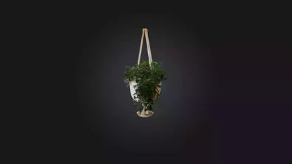 3D model Hanging planter VR / AR / low-poly