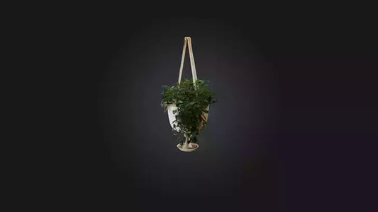 3D model Hanging planter VR / AR / low-poly