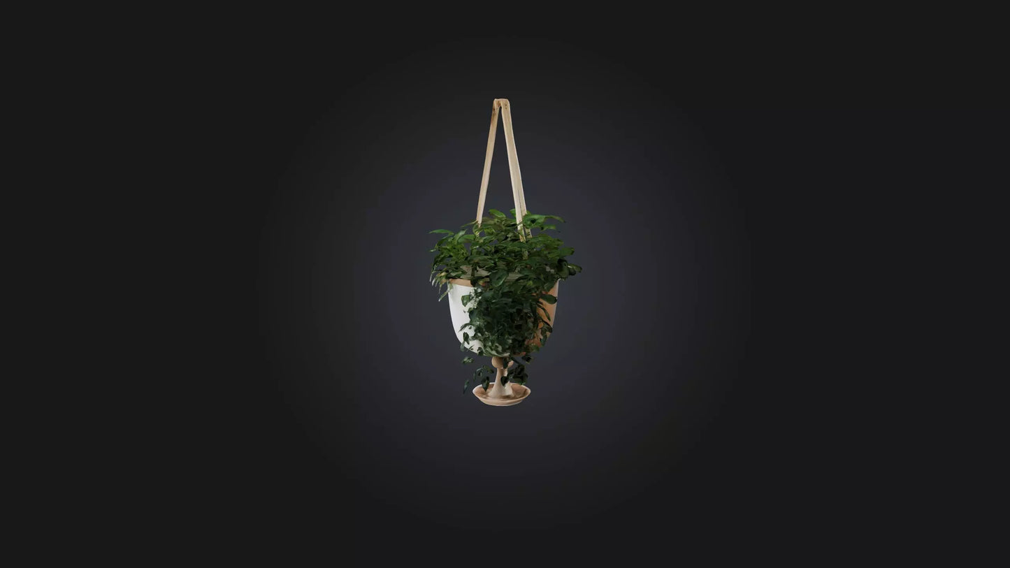 3D model Hanging planter VR / AR / low-poly