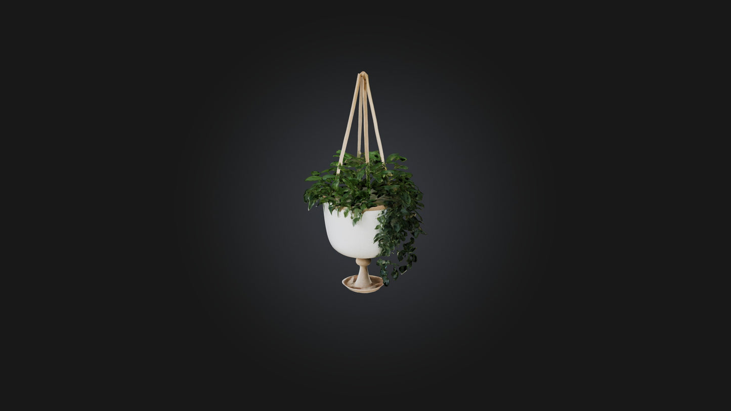 3D model Hanging planter VR / AR / low-poly