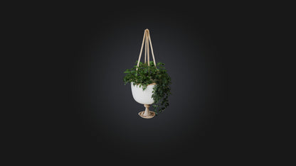 3D model Hanging planter VR / AR / low-poly
