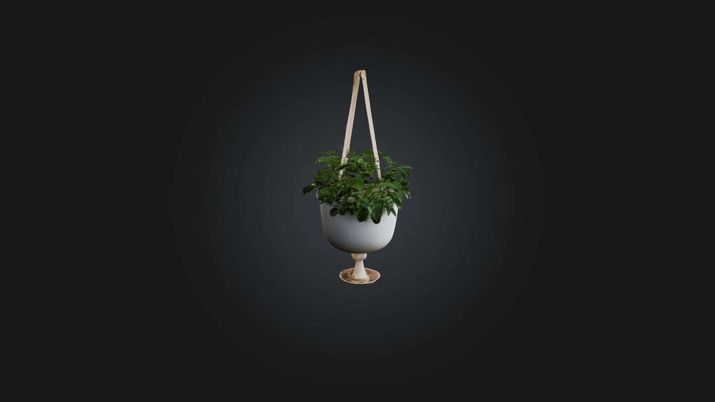 3D model Hanging planter VR / AR / low-poly